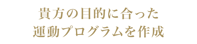 貴方の目的に合った運動プログラムを作成